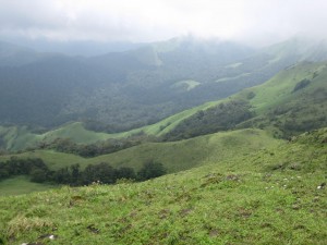 Nashik to brahmagiri-hills cabs